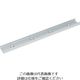 スガツネ工業 (190045763)MLG20ー200マルチローラーリニアガイドレール MLG20-200 1本 195-6706（直送品）