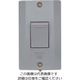 パナソニック Panasonic 防水埋込スイッチD(両切)ライトグレー WS60239H 1セット(5個) 159-0956（直送品）