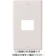 パナソニック Panasonic クラシックS新金属コンセントプレート WN7501SWK 1セット(10個) 159-4096（直送品）