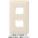 パナソニック Panasonic フルカラー簡耐モダンプレート2コ用・W WN6702W 1セット(5個) 159-0981（直送品）