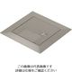 パナソニック Panasonic フロアコンスクエアプレート DUB1101 1個 158-3181（直送品）