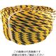 ユタカメイク ロープ 軽量標識ロープ巻物 #12×100m NO12-100 1セット(5巻) 113-7013（直送品）