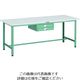 TRUSCO 軽荷重作業台(300kg)AE型 1800X750XH740 薄型2段引出し付 グリーン色 AE-1800UDC2 1台（直送品）