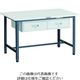 TRUSCO 軽荷重作業台(300kg)AE型 1200X750XH740 2列引出付 ダークグレー色 AE-1200FL2 DG 1台（直送品）