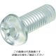 トラスコ中山 ポリカーボネート(PC) 十字穴付ナベ小ネジ M4X15 BPC-PHM4X15 1袋(50本) 208-1365