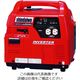 やまびこ 新ダイワ インバータガスエンジン発電機0.9kVA IEG900PG-M 1台 206-0015（直送品）