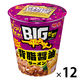 ＢＩＧだぜ！一平ちゃん 背脂醤油ラーメン 93g 1セット（1個×12） 明星食品