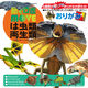 トーヨー MOVEは虫類・両生類おりがみ 036503 1冊
