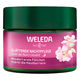 WELEDA（ヴェレダ） ワイルドローズ　スムージングナイトクリーム　40ml