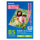 ナカバヤシ ラミネートフィルム100ミクロン 20枚 B5 LPR-B5E2-SP/A 1冊