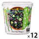 VEGE MISO SOUPカップ オクラと5種の海藻 1セット（1個×12） ひかり味噌