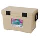 アイリスオーヤマ クーラーボックス CLー45 45L ベージュ 1個 ふたを外して洗える 抗菌加工