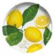 1956レストラン・サプライ プレート 22cm フレッシュレモン プラスチック 432550 1個（直送品）