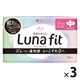 【生理用品】 ナプキン 多い昼用 羽つき 23cm エリス素肌のきもちルナフィット 1セット（1個（20枚入） ×3） 大王製紙