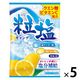 塩分補給 キャンディー 個包装 粒塩キャンデー 塩サイダー味&塩レモン味 2種アソート 5袋 扇雀飴本舗