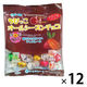 チョコレート 個包装 ちびっこ オールシーズンチョコ 20g 12袋 チーリン製菓
