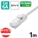 エレコム LANケーブル CAT6A 1m 爪折れ防止 高耐久 メッシュケーブル 白 ECLDーGPAM/WH10 1個