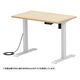 サンワサプライ e電動昇降デスク 受注生産品 幅1200×奥行700mm 薄い木目×ホワイト ERD-ER12070LM 1台（直送品）