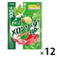 グミ 食べきりサイズ メロンソーダアップ 100g 1セット（1個×12） 明治