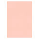 大王製紙 フレッシュカラー色画用紙 八切 サーモン A-6381 1袋（100枚）