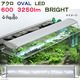 Aqullo（アクロ） OVAL LED 600 3250lm BRIGHT Series 60cm水槽用照明 274075 1個（直送品）
