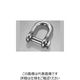 ファスニング J MM ステン カクアタマシャックル（W5/16 QS-7 Q002QS000070000000 1箱（20個）（直送品）