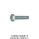 ファスニング J 鋼 8マーク六角ボルト（全ねじ） 12X50 B00080000120050000 1箱（60個）（直送品）