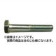 三笠・鋲螺 六角カットボルト 鉄ユニクロ 全ねじ W3/8×25 40本 ウィットねじ 1100100042301 1セット(40本入)（直送品）