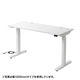 【アウトレット】サンワサプライ 電動上下昇降デスク ERD-TW10050W 1台（直送品）