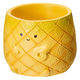 ケー・イー・アイ 鉢 リトルレジンポット パイナップル 285424 1個（直送品）
