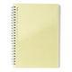いろは出版 PiN リングノート A5 3mm方眼 硬質クリアケース付き イエロー GPN-03 1セット(2冊)（直送品）