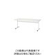 藤沢工業 TOKIO ミーティングテーブル TTーTW 1500×750 ホワイト TT-TW1575-WH 1台 226-5812（直送品）