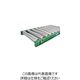 寺内製作所 TS スチールローラコンベヤφ60.5ーW950XP75X1500L S6023-950715 1台 134-2488（直送品）