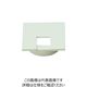 スガツネ工業 SUGATSUNE (210035866)LSU60KSーWT/角型配線孔キャップ LSU60KS-WT 1個（直送品）