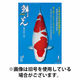 鱗光 2026/08/15発売号から1年(12冊)(雑誌)（直送品）