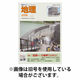 地理 2026/08/25発売号から1年(12冊)(雑誌)（直送品）