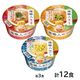 日清食品 麺職人 3種 詰め合わせ アソート 12食入