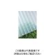 タキロンシーアイ タキロン 塩ビ波板 32波 10尺 71クリアフロスト 211017 1セット(10枚) 849-5565（直送品）
