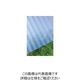 タキロンシーアイ タキロン 塩ビ波板 32波 10尺 55ブルー 211055 1セット(10枚) 849-5566（直送品）