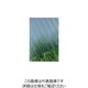 タキロンシーアイ タキロン ポリカ波板 32波 7尺 950グレースモークマット 215794 1セット(10枚) 849-5592（直送品）