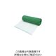 タキロンシーアイプラス TKCP ビニール亀甲金網 #20×16mm 910mm×30m グリーン 202203 1巻 123-4397（直送品）