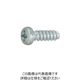 SUNCO 三価ホワイト (+)DELTA PT ナベ 3×10 (2500本入) 30-00-PD00-0030-0100-03（直送品）