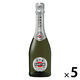 イタリア マルティーニ アスティ スプマンテ 白 甘口 375ml 1セット（5本） スパークリングワイン サッポロ
