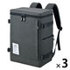 保冷バックパック 25Ｌ ダークグレー RFP-025 DGY 1セット（1個×3） 保冷バッグ リュック サーモス