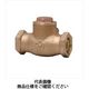 大和バルブ 青銅製10Kコア給水用スイングチャッキ 10CーHN 15A 1個（直送品）