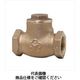 大和バルブ 青銅製10Kスイングチャッキ B10C 20A 1個（直送品）