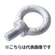 三笠・鋲螺 アイボルト 鉄 三価クロメート M10 50本入 吊りボルト リングボルト 1100100044372 1袋(50本入)（直送品）