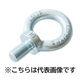 三笠・鋲螺 アイボルト 鉄 ユニクロ M12×50 2本入 吊りボルト リングボルト 1100100044427 1セット(2本入)（直送品）