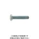 SUNCO SUS超低頭 六角ボルト 8×25 （100本入） B0-02-L000-0080-0250-00 252-4729（直送品）