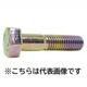 三笠・鋲螺 六角中ボルト 鉄三価クロメート 半ねじ M20×100 20本入 1100100041562 1セット(20本入)（直送品）